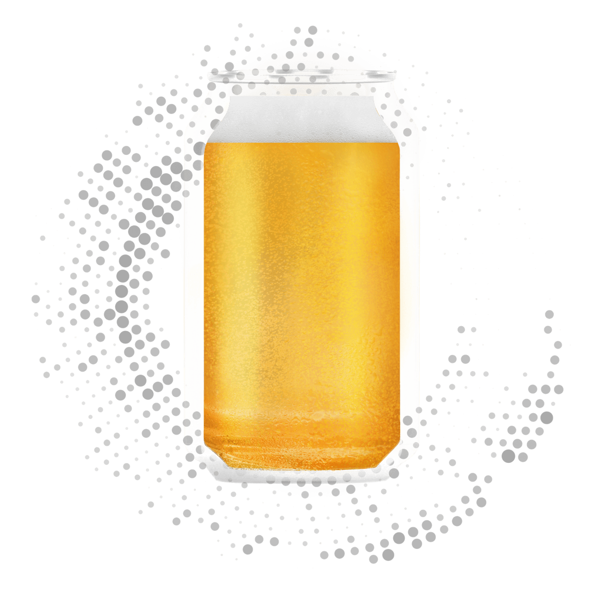10TH ANNIVERSARY WEST COAST IPA – 500 ML Pivo